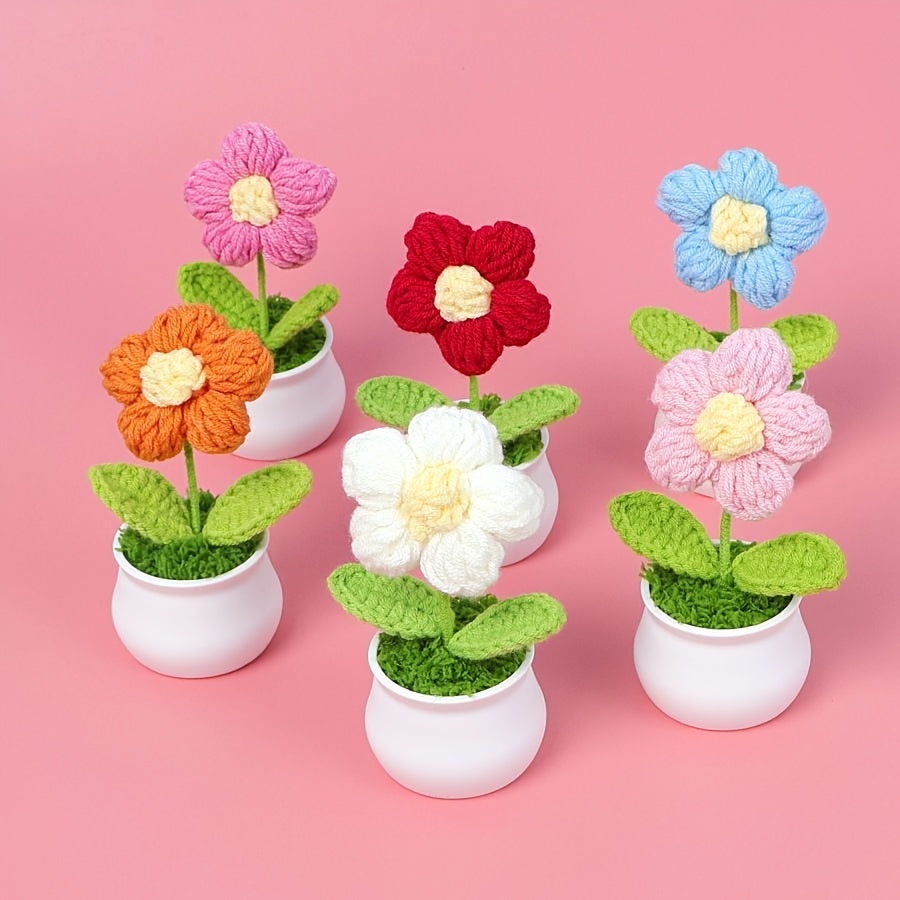 Mini Macetas "Eternal Bloom"